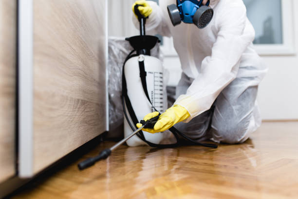 Best Insect Control  in Towanda, KS