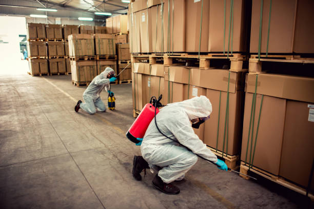 Best Pest Control for Restaurants  in Towanda, KS