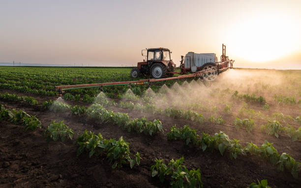 Best Best Pest Control Companies  in Towanda, KS