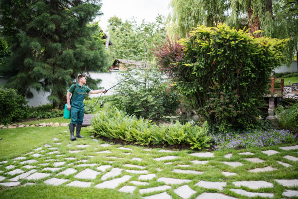 Best Pest Removal Services  in Towanda, KS