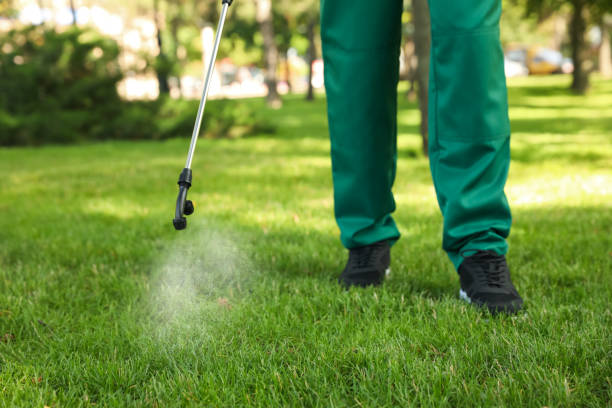 Best Pest Control for Homes  in Towanda, KS
