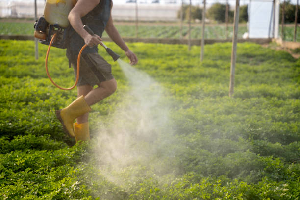 Best Best Pest Control Companies  in Towanda, KS