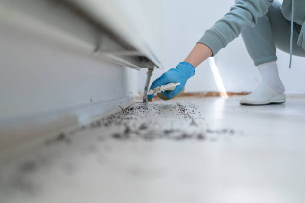 Best Pest Removal Services  in Towanda, KS