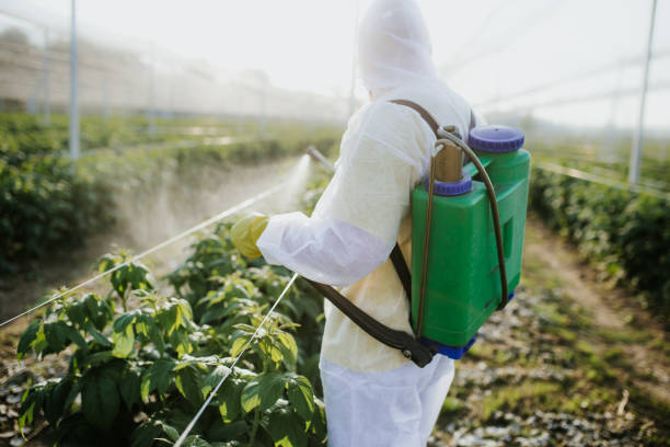  Towanda, KS Pest Control Pros